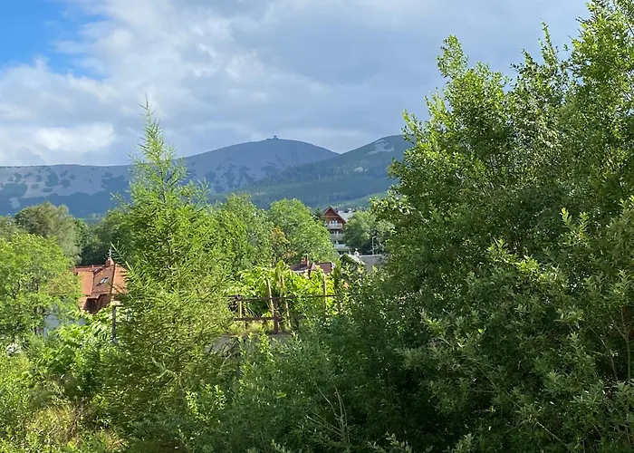 Apartament Pinia